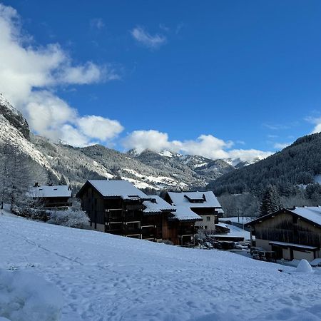 Appartement Cosy Proche Chatel Portes Du Soleil - Linge Inclus Abondance Eksteriør billede