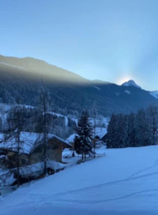 Appartement Cosy Proche Chatel Portes Du Soleil - Linge Inclus Abondance Eksteriør billede