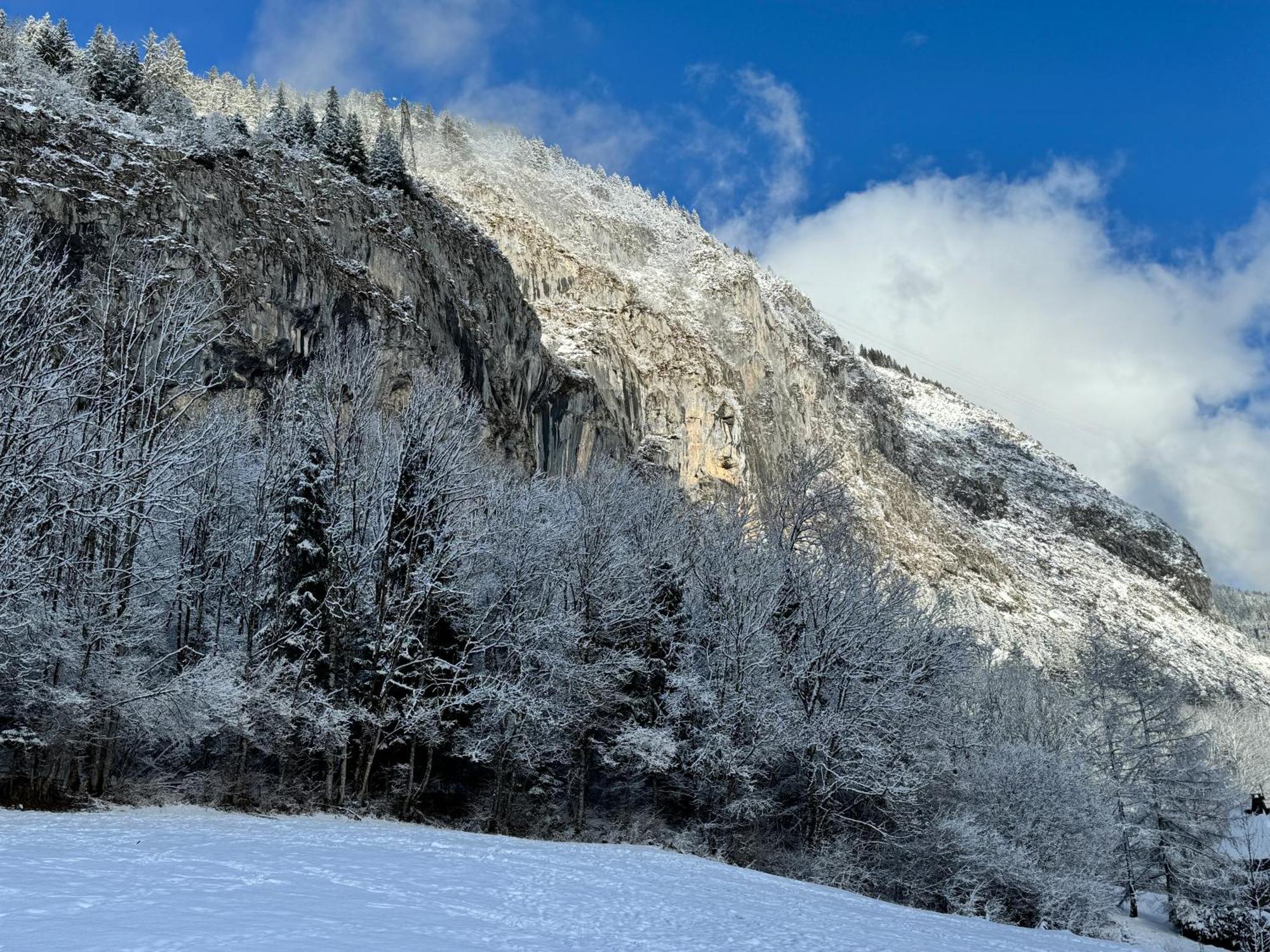Appartement Cosy Proche Chatel Portes Du Soleil - Linge Inclus Abondance Eksteriør billede